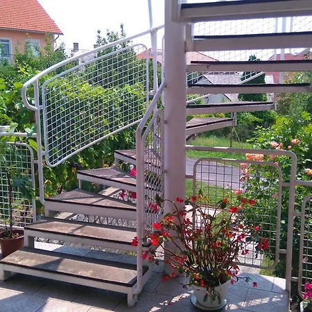 Bertalan פוניארצוושהג'